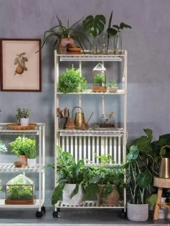 Oslo 4-Tier LED Grow Light Garden 19 Oslo 4-Tier LED Grow Light Garden -Garden Sales 8609188 4118 tif