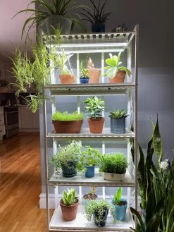 Oslo 4-Tier LED Grow Light Garden 23 Oslo 4-Tier LED Grow Light Garden -Garden Sales 8609220 03IN tif