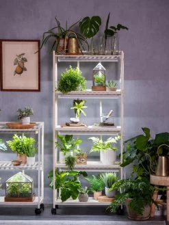 Oslo 4-Tier LED Grow Light Garden 21 Oslo 4-Tier LED Grow Light Garden -Garden Sales 8609220 4116 tif