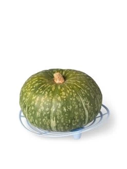Melon And Squash Cradles, Set Of 6 -Garden Sales 8609464 5204 tif