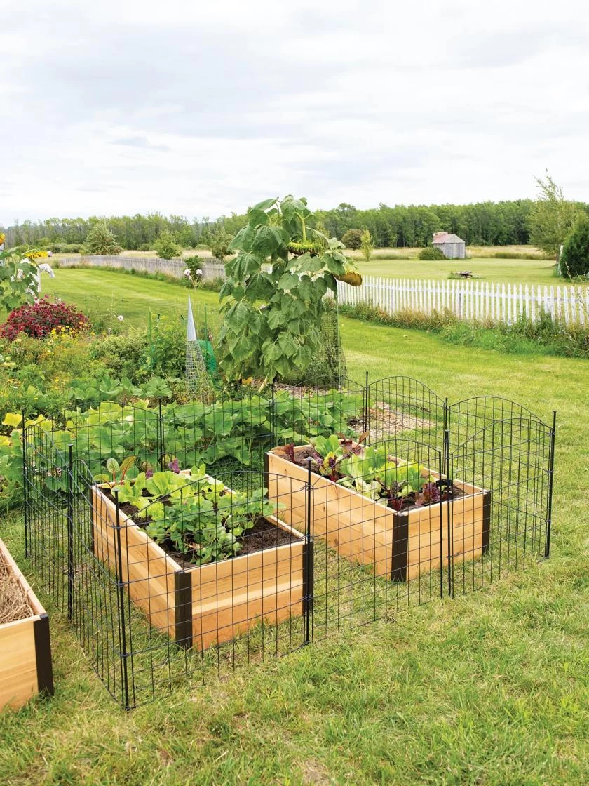 6 Panel Critter Fence With Gate 8 6 Panel Critter Fence With Gate - Image 6