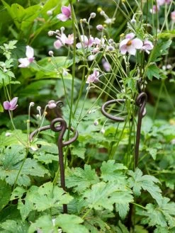 Arden Single Stem Supports, Set Of 2