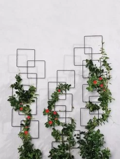 Building Blocks Wall Trellis, 45" 8 Building Blocks Wall Trellis, 45" -Garden Sales 8610183 5811 tif