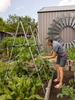 Connector Kit For DIY A Frame Plant Support 13 Connector Kit For DIY A Frame Plant Support -Garden Sales 8610366 7584 tif