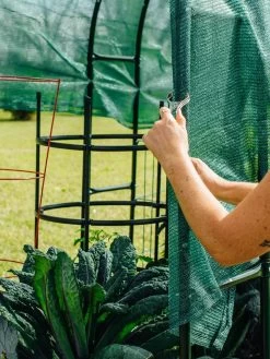 Maxi Garden Hoops With Clips 14 Maxi Garden Hoops With Clips -Garden Sales 8610372 368 tif