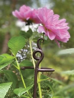 Garden Sales -Garden Sales 8610375 5701 tif