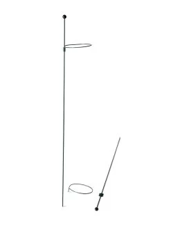 Peacock Mini Plant Support Rings 4", Set Of 2 14 Peacock Mini Plant Support Rings 4", Set Of 2 -Garden Sales 8610386 9566