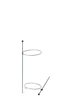 Peacock Mini Plant Support Rings 8", Set Of 2 -Garden Sales 8610387 9571 tif