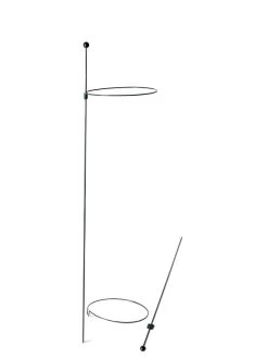 Peacock Mini Plant Support Rings 8", Set Of 2 -Garden Sales 8610388 9565 tif