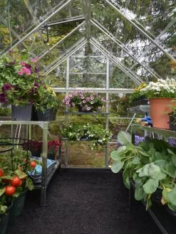 Canopia® By Palram Harmony™ Greenhouse, 6' X 14' -Garden Sales 8610563 03V jpg