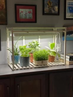 Oslo 1-Tier LED Grow Light Garden 14 Oslo 1-Tier LED Grow Light Garden -Garden Sales 8611002 01IN tif