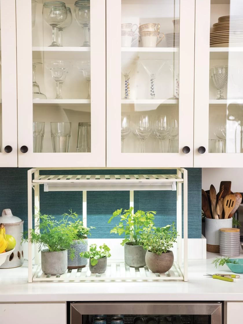 Oslo 1-Tier LED Grow Light Garden 3 Oslo 1-Tier LED Grow Light Garden