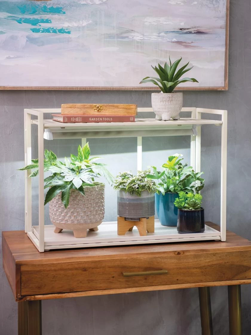 Oslo 1-Tier LED Grow Light Garden 4 Oslo 1-Tier LED Grow Light Garden - Image 2