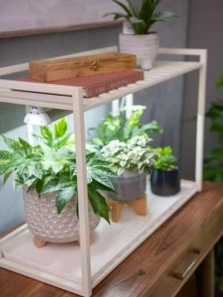 Oslo 1-Tier LED Grow Light Garden 13 Oslo 1-Tier LED Grow Light Garden -Garden Sales 8611002 2002 tif