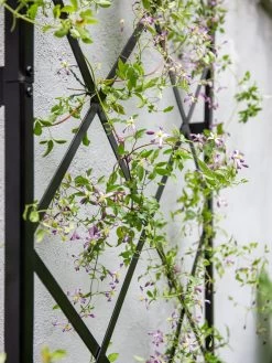 Lattice Gable Wall Trellis 8 Lattice Gable Wall Trellis -Garden Sales 8611130 011