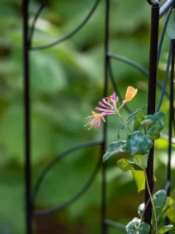 Garden Sales -Garden Sales 8611658 026 tif