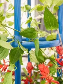 Fleur De Lis Obelisk, 67" 9 Fleur De Lis Obelisk, 67" -Garden Sales 8611663 0607 tif