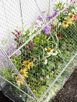 Chicken Wire Flat Back Crop Coop -Garden Sales 8611701 153 tif
