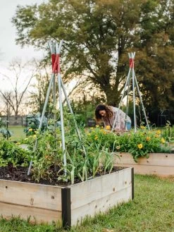 DIY Connector For Teepee Trellis 21 DIY Connector For Teepee Trellis -Garden Sales 8611896 38 tif