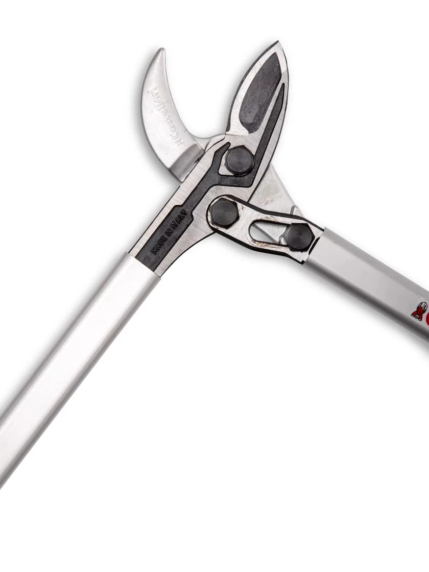 Castellari Long-Handled Anvil Lopper 7 Castellari Long-Handled Anvil Lopper - Image 5