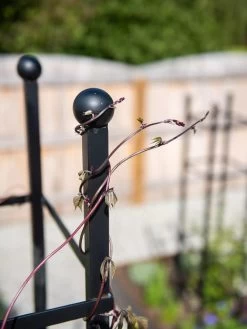 Essex Square Obelisk 12 Essex Square Obelisk -Garden Sales 8611984 278 tif