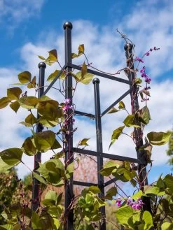 Essex Square Obelisk 10 Essex Square Obelisk -Garden Sales 8611984 354 tif