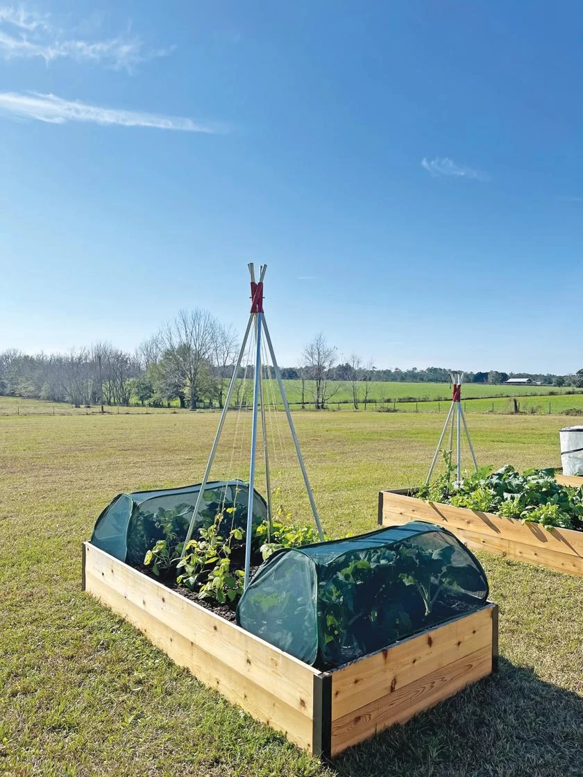 Insect And Pest Net Row Protector 4 Insect And Pest Net Row Protector - Image 2