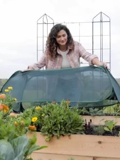 Insect And Pest Net Row Protector 13 Insect And Pest Net Row Protector -Garden Sales 8611985 8390 tif