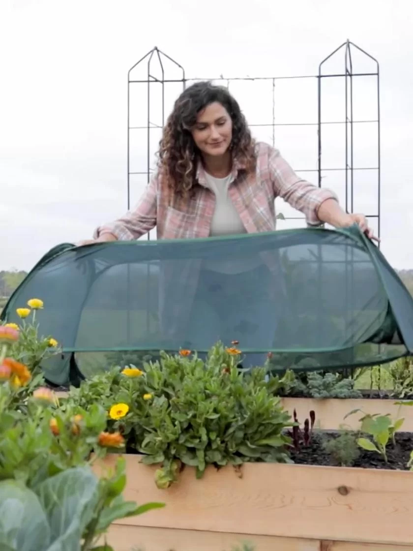 Insect And Pest Net Row Protector 7 Insect And Pest Net Row Protector - Image 5