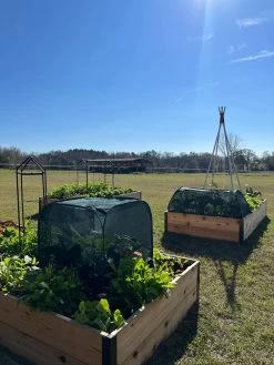 Pest Control Pop-Ups -Garden Sales 8611989 05 tif