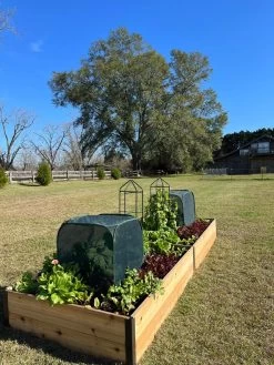 Pest Control Pop-Ups -Garden Sales 8611989 08 tif