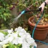 Indoor Outdoor Plant Sprayers -Garden Sales 8611993 029 tif