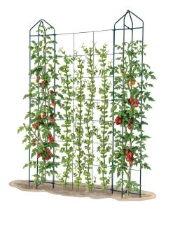 Zenith Trellis 9 Zenith Trellis -Garden Sales 8612036 art tif