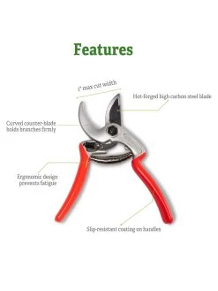 Castellari Mini Anvil Pruner 12 Castellari Mini Anvil Pruner -Garden Sales 8612199 5