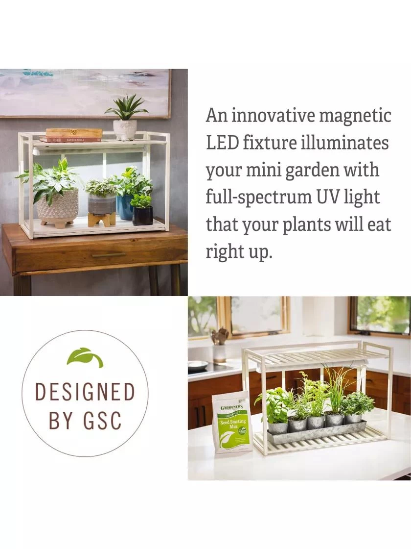 Tabletop Grow Kit 6 Tabletop Grow Kit - Image 4