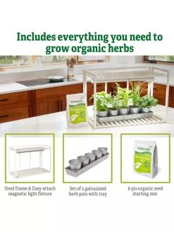 Tabletop Grow Kit 15 Tabletop Grow Kit -Garden Sales 8612507 6