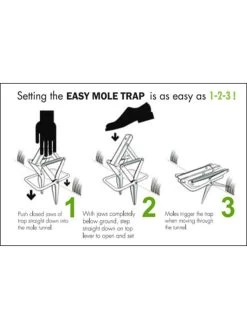 Easy Mole Trap 8 Easy Mole Trap -Garden Sales 8612557 04v 1