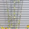Flock Of Friends Wall Trellis 1 Flock Of Friends Wall Trellis -Garden Sales 8612636 0029 flock of friends wall trellis