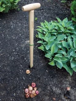 Wicked Big Dibber -Garden Sales 8612667 0028