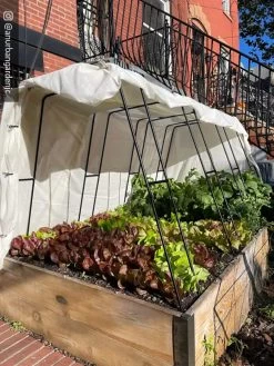 Cotton All Purpose Garden Cover 11 Cotton All Purpose Garden Cover -Garden Sales 8612816 01CUST