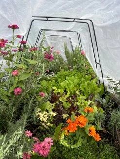 Zenith Garden Hoops, Set Of 4 -Garden Sales 8612816 01TEST