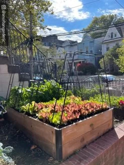 Zenith Garden Hoops, Set Of 4 -Garden Sales 8612816 02CUST