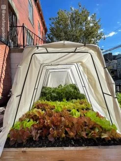 Cotton All Purpose Garden Cover 12 Cotton All Purpose Garden Cover -Garden Sales 8612816 03CUST