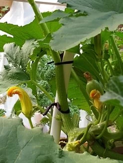 Farmyarn® Multipurpose Garden Tie, 2 Pack -Garden Sales 8612948 01v