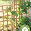Bamboo Zig-Zag Trellis 24" X 36" 1 Bamboo Zig-Zag Trellis 24" X 36" -Garden Sales 8613151 15