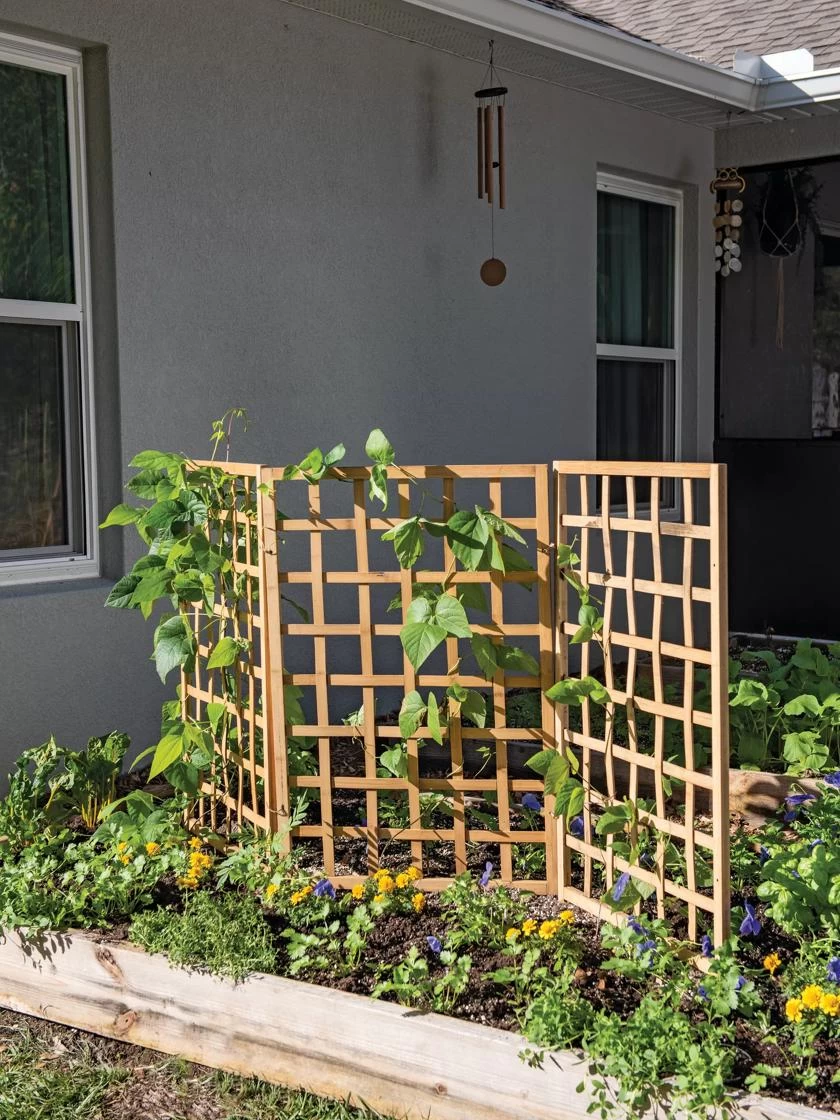 Bamboo Zig-Zag Trellis 24" X 36" 4 Bamboo Zig-Zag Trellis 24" X 36" - Image 2