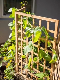Bamboo Zig-Zag Trellis 24" X 36" 16 Bamboo Zig-Zag Trellis 24" X 36" -Garden Sales 8613151 6467