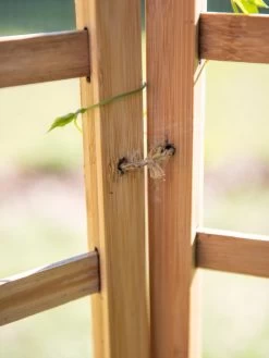 Bamboo Zig-Zag Trellis 24" X 36" 17 Bamboo Zig-Zag Trellis 24" X 36" -Garden Sales 8613151 6483