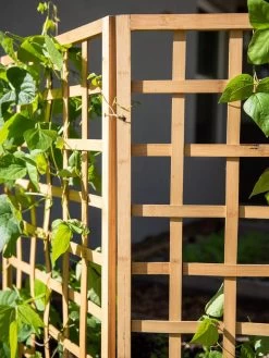 Bamboo Zig-Zag Trellis 24" X 36" 18 Bamboo Zig-Zag Trellis 24" X 36" -Garden Sales 8613151 6491