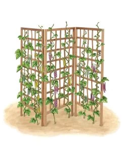 Bamboo Zig-Zag Trellis 24" X 36" 20 Bamboo Zig-Zag Trellis 24" X 36" -Garden Sales 8613151 art flat